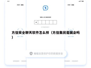 方信安全聊天软件怎么样（方信集团是国企吗）