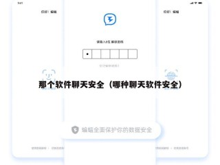 那个软件聊天安全（哪种聊天软件安全）