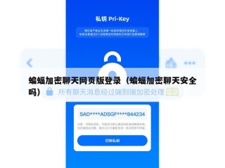 蝙蝠加密聊天网页版登录（蝙蝠加密聊天安全吗）