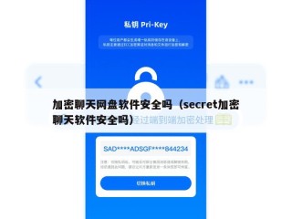 加密聊天网盘软件安全吗（secret加密聊天软件安全吗）