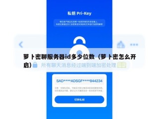 萝卜密聊服务器id多少位数（萝卜密怎么开启）