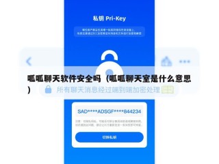 呱呱聊天软件安全吗（呱呱聊天室是什么意思）