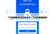 飞马视频聊天软件安全吗（飞马的视频播放）