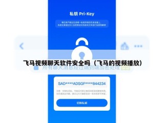 飞马视频聊天软件安全吗（飞马的视频播放）