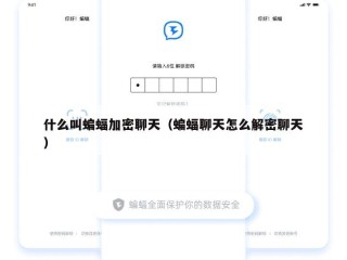 什么叫蝙蝠加密聊天（蝙蝠聊天怎么解密聊天）