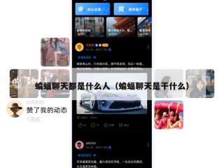 蝙蝠聊天都是什么人（蝙蝠聊天是干什么）