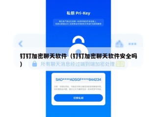 钉钉加密聊天软件（钉钉加密聊天软件安全吗）