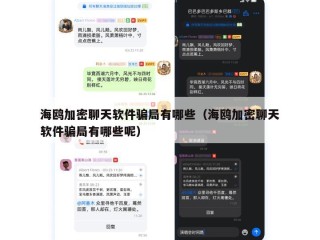 海鸥加密聊天软件骗局有哪些（海鸥加密聊天软件骗局有哪些呢）