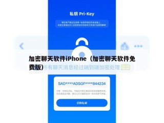 加密聊天软件iPhone（加密聊天软件免费版）