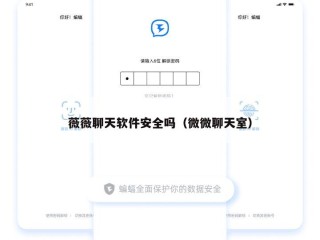 薇薇聊天软件安全吗（微微聊天室）