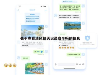 关于查看清风聊天记录安全吗的信息