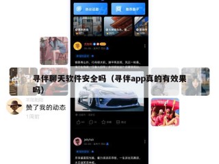 寻伴聊天软件安全吗（寻伴app真的有效果吗）
