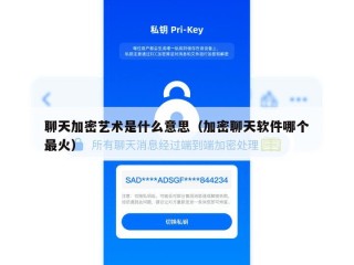 聊天加密艺术是什么意思（加密聊天软件哪个最火）