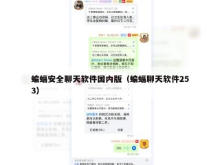 蝙蝠安全聊天软件国内版（蝙蝠聊天软件253）