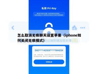 怎么取消无痕聊天设置苹果（iphone如何关闭无痕模式）