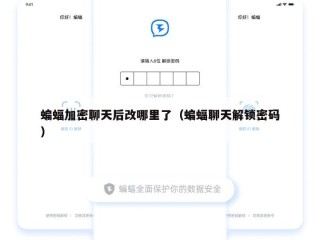 蝙蝠加密聊天后改哪里了（蝙蝠聊天解锁密码）