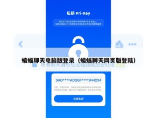蝙蝠聊天电脑版登录（蝙蝠聊天网页版登陆）