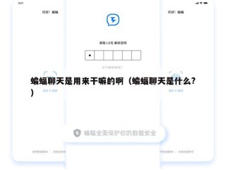 蝙蝠聊天是用来干嘛的啊（蝙蝠聊天是什么?）
