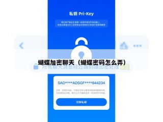 蝴蝶加密聊天（蝴蝶密码怎么弄）