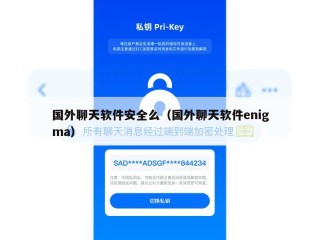 国外聊天软件安全么（国外聊天软件enigma）