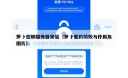 萝卜密聊服务器安装（萝卜蜜的功效与作用及图片）