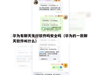 华为有聊天支付软件吗安全吗（华为的一款聊天软件叫什么）