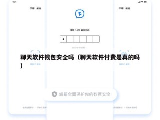 聊天软件钱包安全吗（聊天软件付费是真的吗）