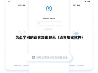 怎么学别的语言加密聊天（语言加密软件）