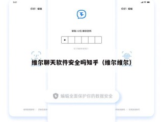 维尔聊天软件安全吗知乎（维尔维尔）
