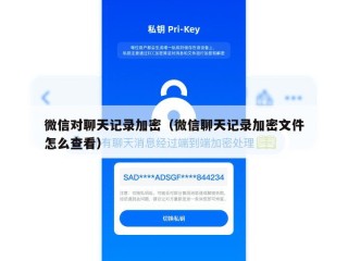 微信对聊天记录加密（微信聊天记录加密文件怎么查看）