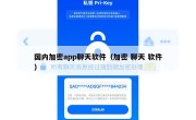 国内加密app聊天软件（加密 聊天 软件）