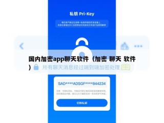 国内加密app聊天软件（加密 聊天 软件）