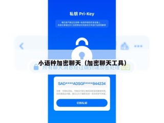 小语种加密聊天（加密聊天工具）