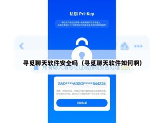 寻觅聊天软件安全吗（寻觅聊天软件如何啊）