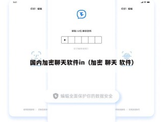 国内加密聊天软件in（加密 聊天 软件）