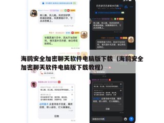 海鸥安全加密聊天软件电脑版下载（海鸥安全加密聊天软件电脑版下载教程）
