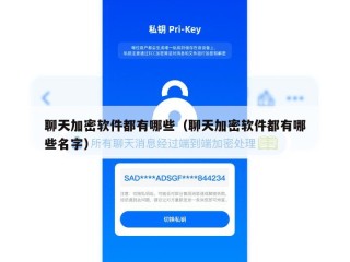 聊天加密软件都有哪些（聊天加密软件都有哪些名字）