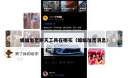 蝙蝠加密聊天工具在哪买（蝙蝠加密消息）