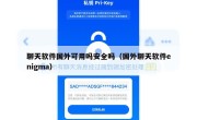 聊天软件国外可用吗安全吗（国外聊天软件enigma）