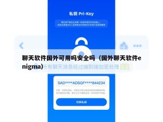 聊天软件国外可用吗安全吗（国外聊天软件enigma）