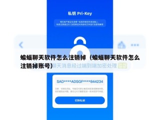 蝙蝠聊天软件怎么注销掉（蝙蝠聊天软件怎么注销掉账号）