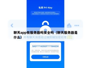 聊天app有服务器吗安全吗（聊天服务器是什么）