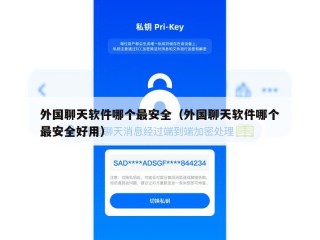 外国聊天软件哪个最安全（外国聊天软件哪个最安全好用）