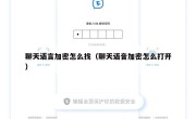 聊天语言加密怎么找（聊天语音加密怎么打开）