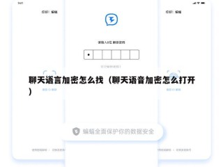 聊天语言加密怎么找（聊天语音加密怎么打开）
