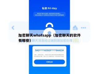 加密聊天whatsapp（加密聊天的软件有哪些）