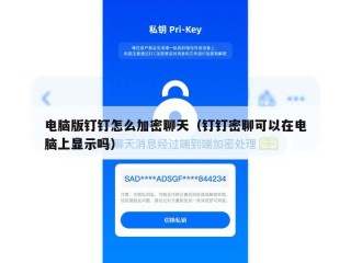 电脑版钉钉怎么加密聊天（钉钉密聊可以在电脑上显示吗）