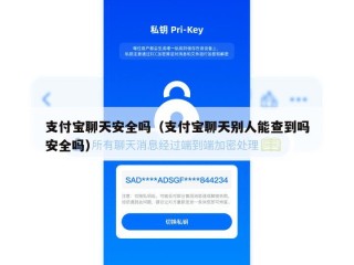 支付宝聊天安全吗（支付宝聊天别人能查到吗安全吗）