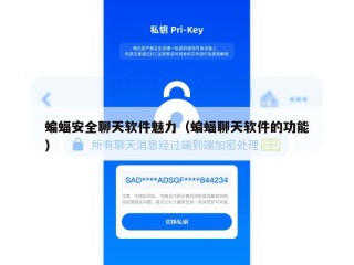 蝙蝠安全聊天软件魅力（蝙蝠聊天软件的功能）