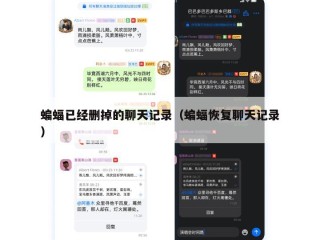 蝙蝠已经删掉的聊天记录（蝙蝠恢复聊天记录）